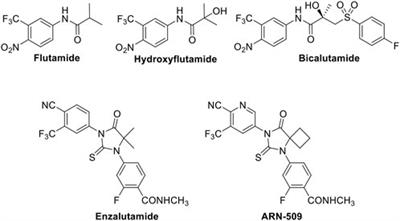 Synthesis, bioactivity, and molecular docking of novel arylpiperazine derivatives as potential AR antagonists